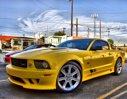 mustang saleen